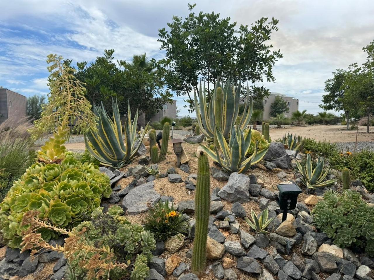 Rincon Del Corazon Βίλα Valle de Guadalupe Εξωτερικό φωτογραφία